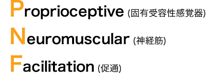 Proprioceptive (固有受容性感覚器) Neuromuscular (神経筋) Facilitation (促通)